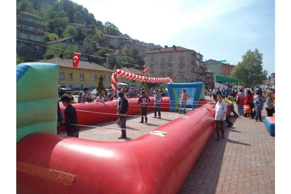 Canlı Langırt 1